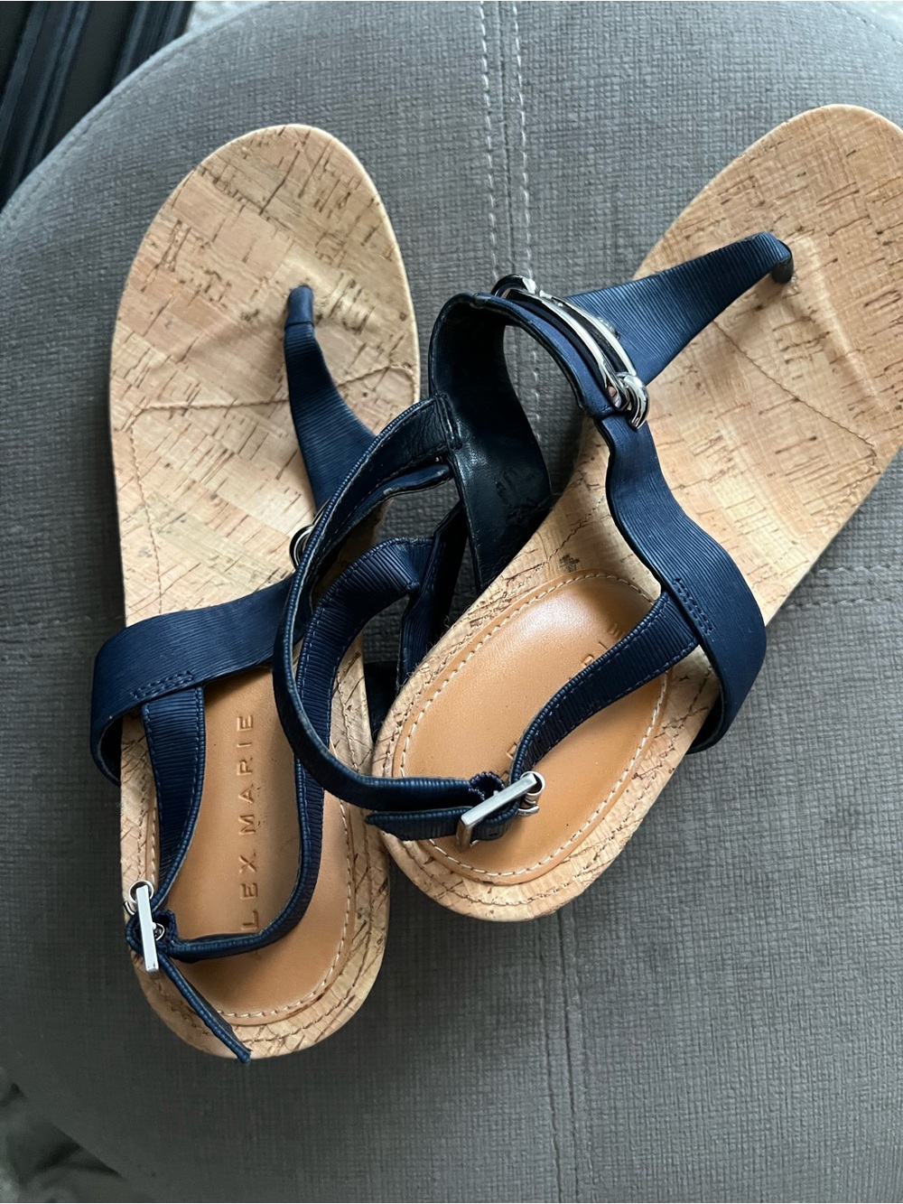Alex Marie Navy Thong Sandals with Cork-Style Footbed